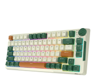 Royal Kludge RKH81 RGB (Sky cyan switch) - Zielona RKH 81 skycyan green - 1198934 - zdjęcie 4